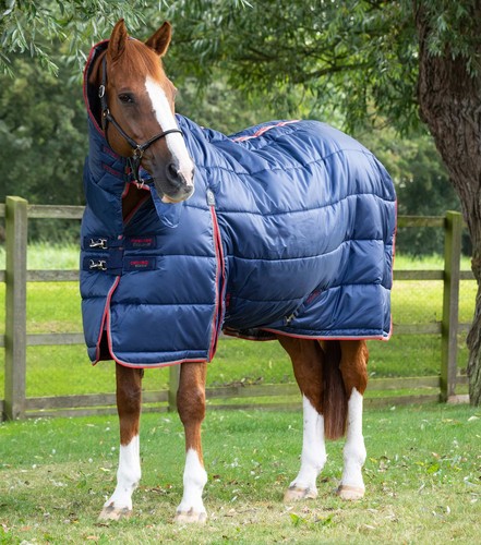 Premier equine combo stable - equine,