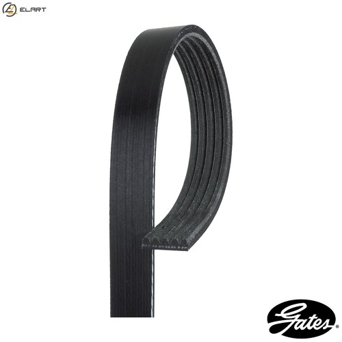 Vribbed belt 5pk1103 for acura - 5pk1103,