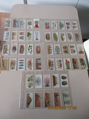 Wills gardening hints - &,