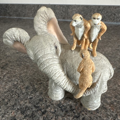 Tuskers henry paka meerkats - tuskers,