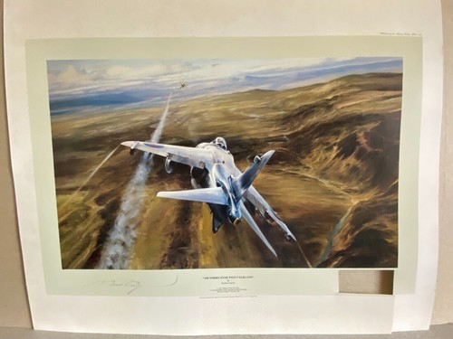 Falklands war aviation art - falklands,