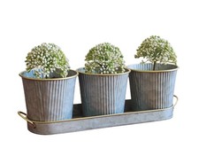 Dipamkar Set of 3 Galvanized