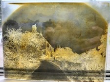 Vintage Glass Photo Plate/Negative - Tree-Lined Drive up to House, 21.5 x 16.5cm