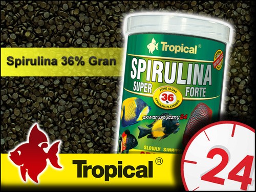 Super spirulina forte - super, 36%