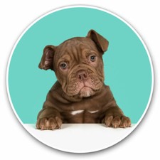 2 x Vinyl Stickers 10cm - Cute Old English Bulldog Puppy Dog Cool Gift #21422