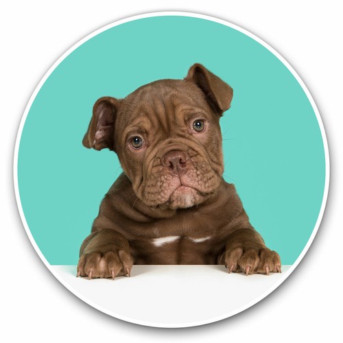 Vinyl stickers 10cm cute - 2,