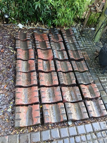 Staffordshire blue gully - 29,