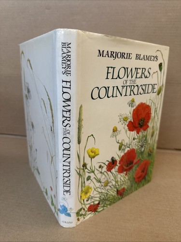 Flowers the countryside - of,