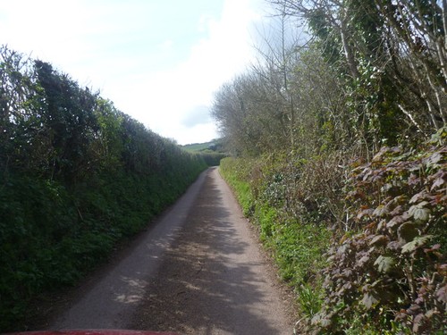 Photo the lane near - the,