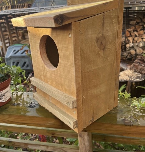 Wooden birdhouse nesting - birdhouse, box
