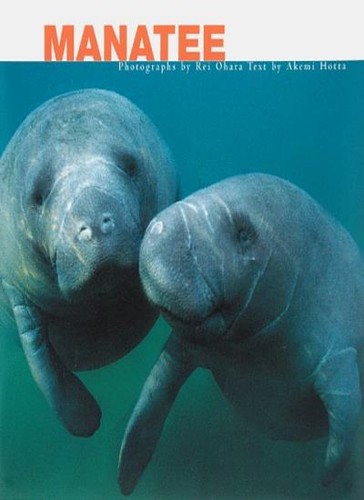 Manatee akemi hotta rei - manatee,akemi,