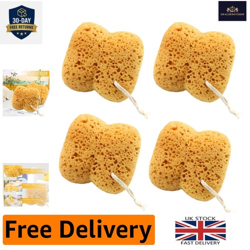 4pcs natural sea - sea, sponges