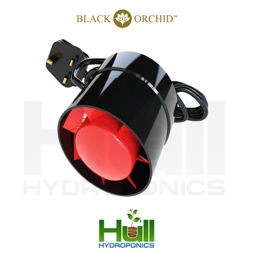 Black orchid axial - orchid,