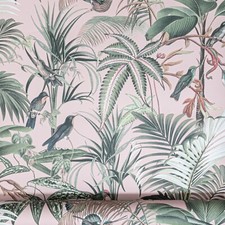  Tropical Rain Forest Birds