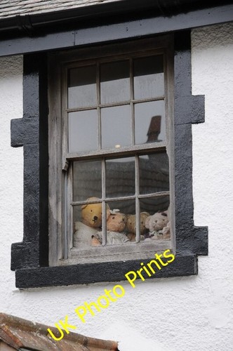 Photo 6x4 teddy - 6x4, bears