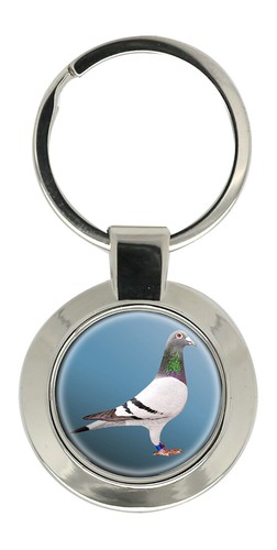 Racing pigeon key - key, ring