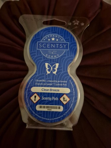 Scentsy pod diffuser clean - pod,