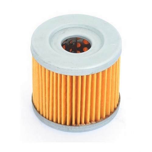 Oil filter athena - athena, for
