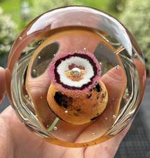 Rare Selkirk Aurora Glass Paperweight 1979 Limited Edt144/500 By Peter Holmes