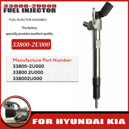Fuel injector 33800 - fuel, for
