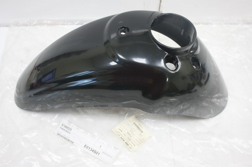 Front fender piaggio - fender,