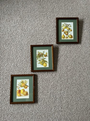 Set framed vintage - of,
