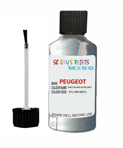 Paint peugeot grey - paint,