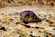 Custom Painted Rapala DT-6 