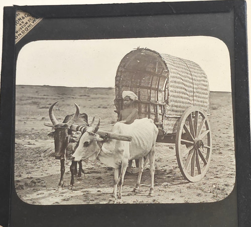 Magic lantern slide bullock - magic,