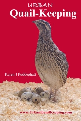 Urban quail keeping - urban, quail-keeping