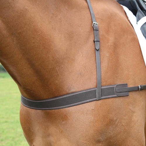 Shires velociti gara - velociti, elastic