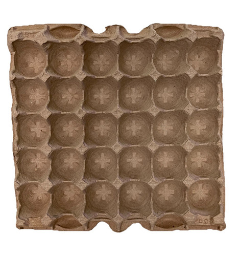 Count biodegradable pulp - biodegradable,