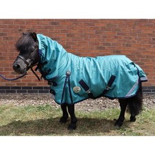 Ruggles Shetland-Miniature