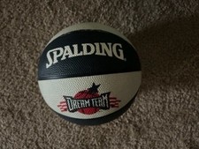 Dream Team Collectible 7"