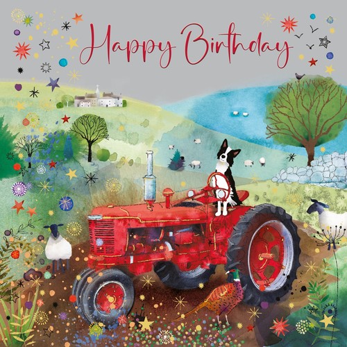 Cherry orchard male birthday - orchard,