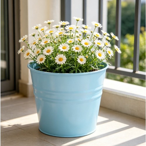 Small iron flower pot for - small,