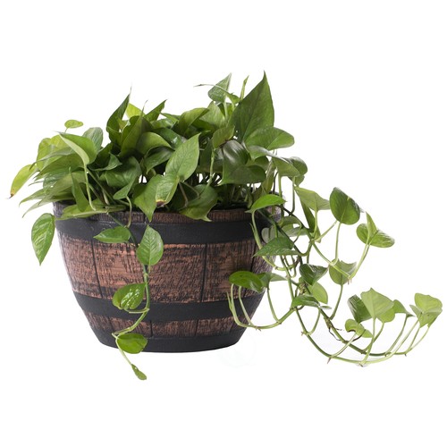Brown outdoor rustic half - brown,