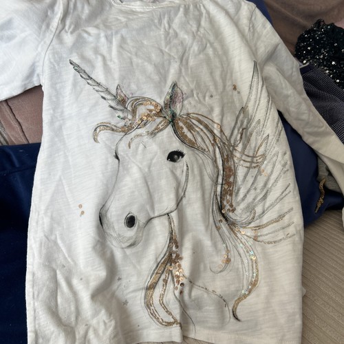 Next summer unicorn - next,