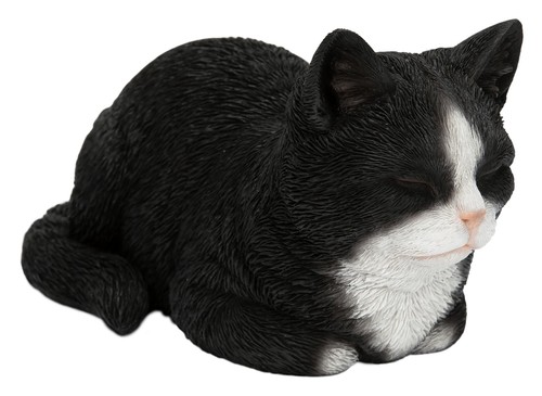 Vivid arts dreaming - vivid, cat