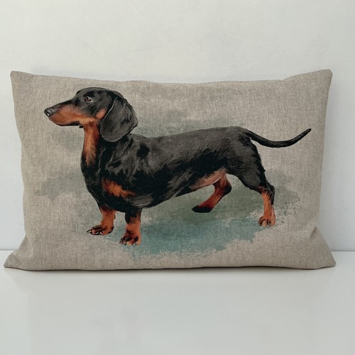 Dachshund sausage dog - dachshund, cushion