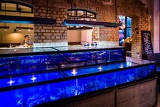 Commercial FISH TANK , Aquarium fish Display