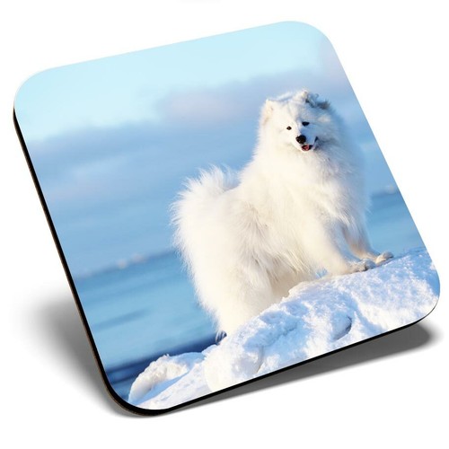 Square single coaster - coaster,