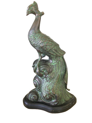 Gorgeous bronze peacock - gorgeous,