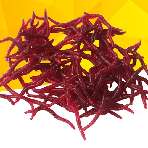 Fishing plastic lures - fishing, dark