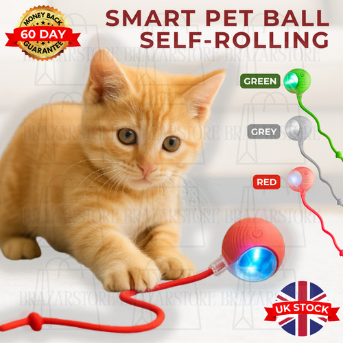 Interactive smart cat - interactive,