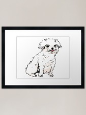 Smiling Bichon Frise Puppy Dog