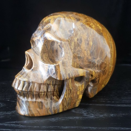6kg tiger iron eye - 6.8",