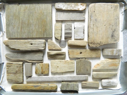 Driftwood pieces flat one - pieces,