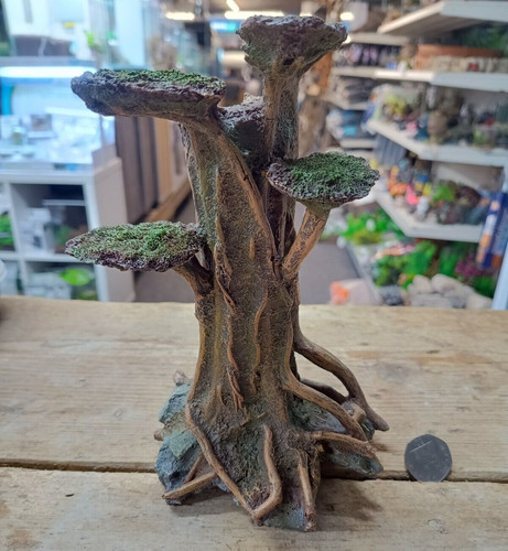 Medium twisted gnarly rooted - gnarly,