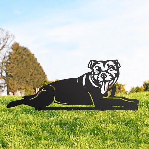 Black staffordshire bull - black,